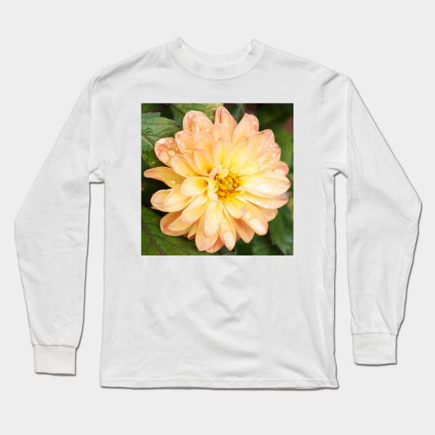 Dahlia Long Sleeve T-Shirt by jalfc46